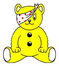 Children In Need Pudsey Bear Costume