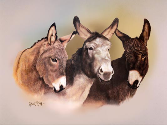 Donkey Pictures To Print