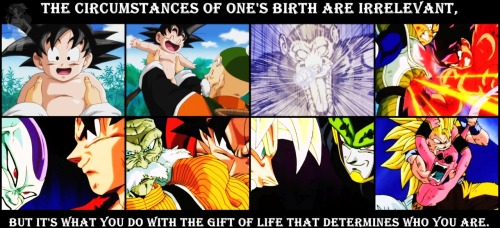 Goku Quotes Dbz