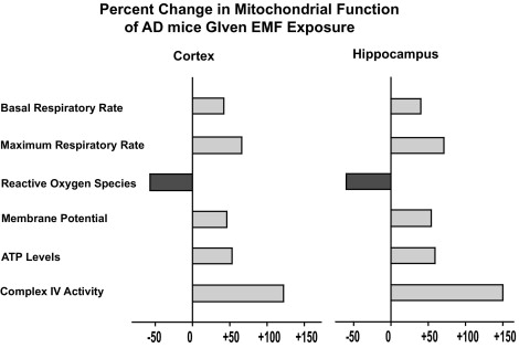 The Cerebral Cortex Accounts For Approximately What Percentage Of The Brain