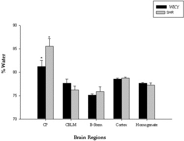 The Cerebral Cortex Accounts For Approximately What Percentage Of The Brain