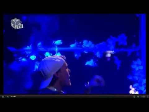 Tomorrowland 2012 Avicii Songs